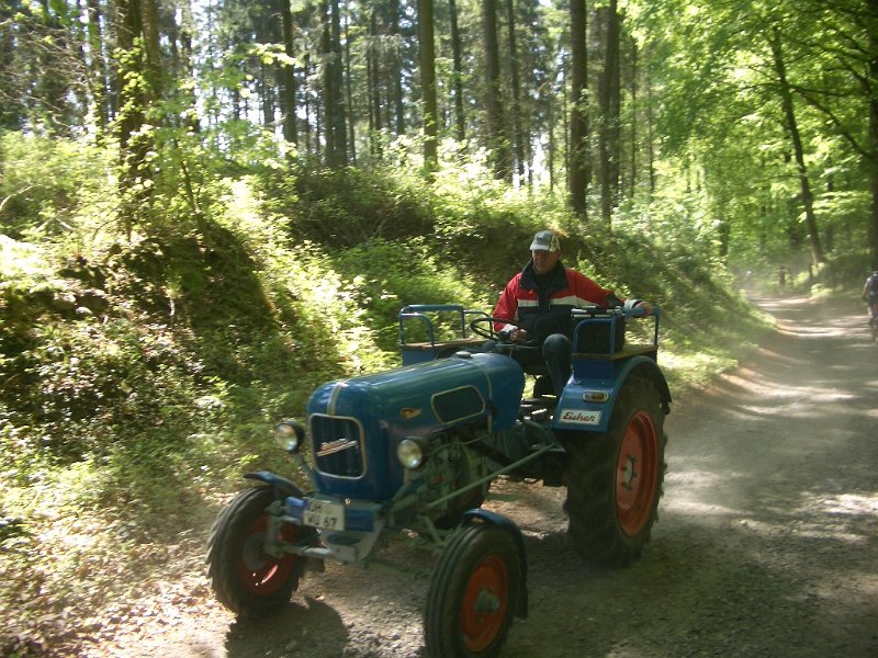 Bungsberg-CTF 536